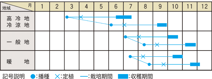 栽培適期表