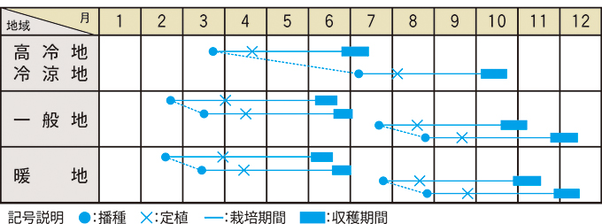 栽培適期表