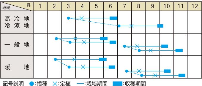 栽培適期表