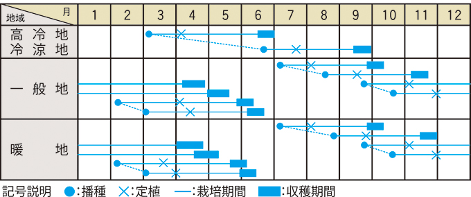 栽培適期表