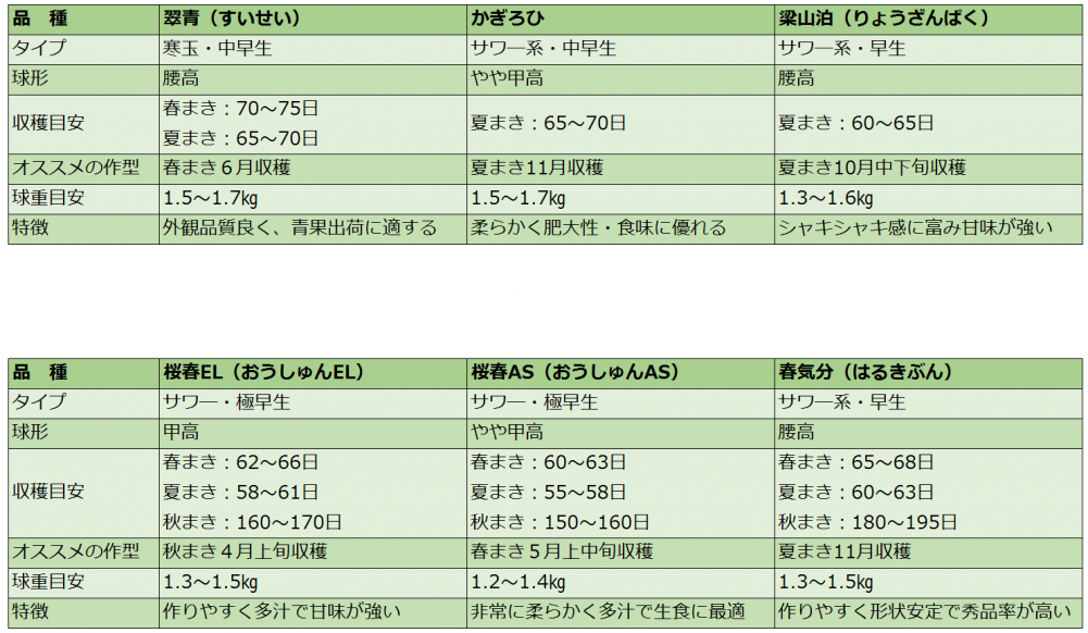 もっと知りたい野菜づくり キャベツ編 Vol 03 特集 大和農園