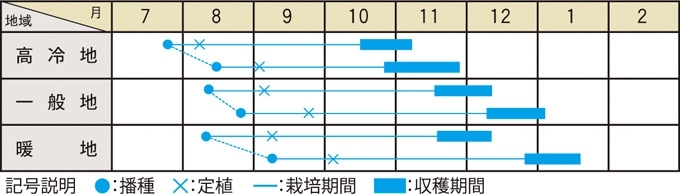 栽培適期表