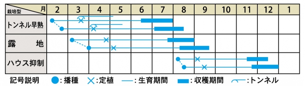 栽培適期表（近畿標準）