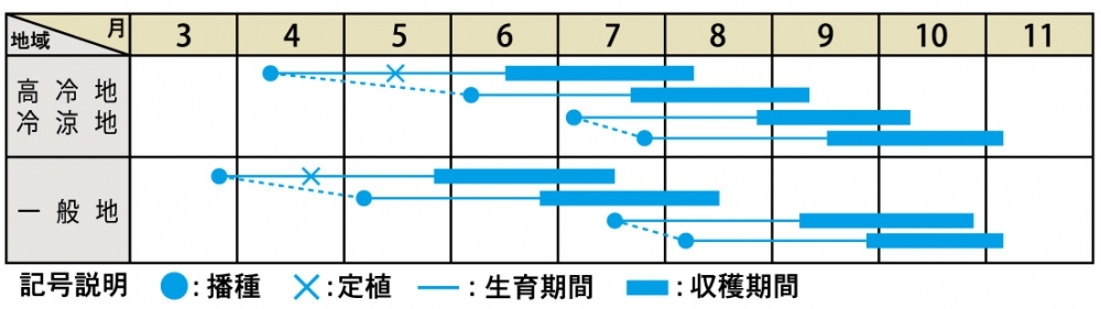 栽培適期表