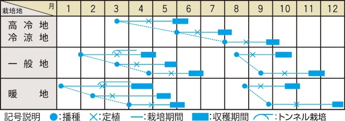 栽培適期表