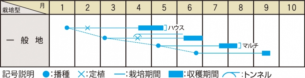 栽培適期表