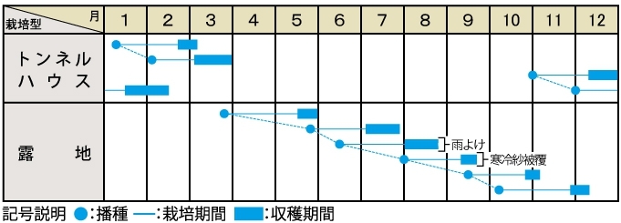 栽培適期表