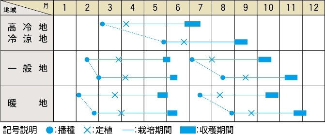 栽培適期表