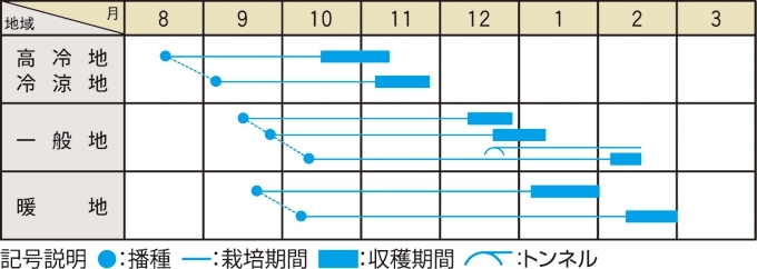 栽培適期表