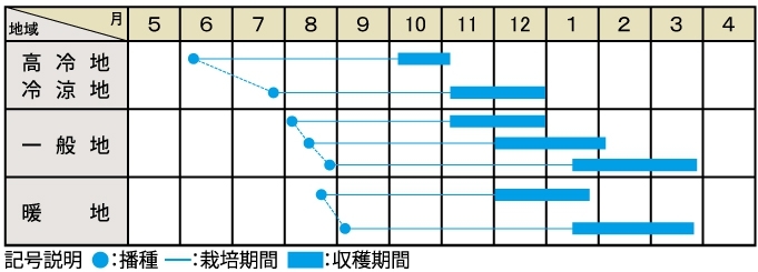 栽培適期表