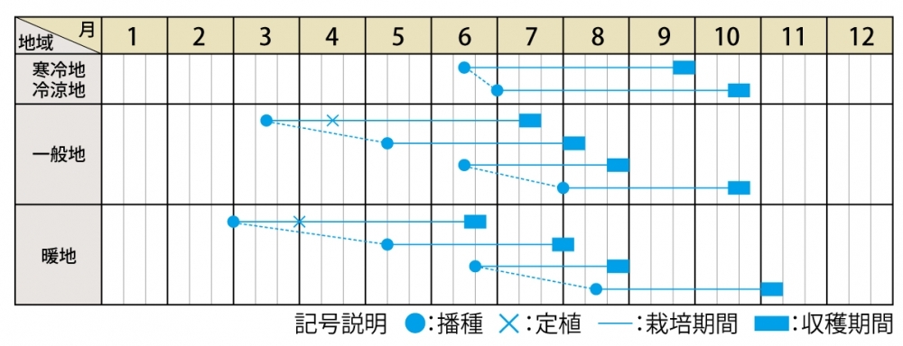 栽培適期表