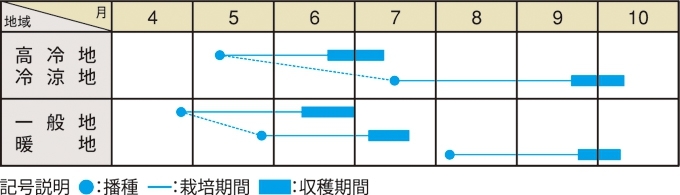 栽培適期表