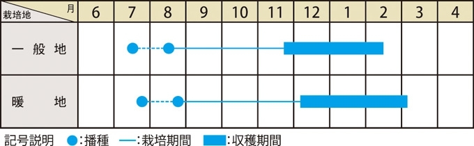 栽培適期表