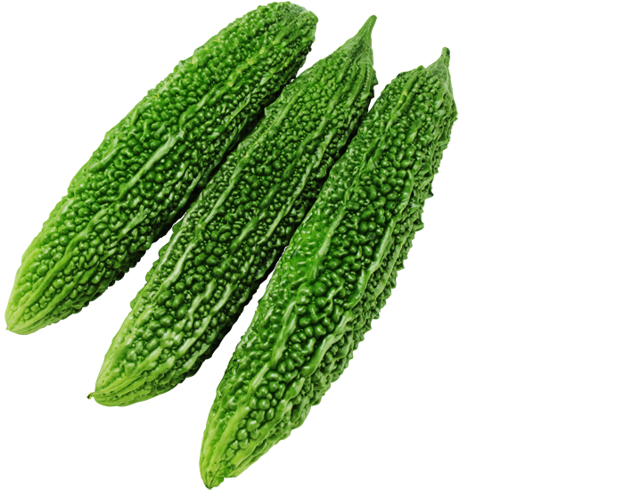 緑福 ニガウリ 果菜類 品種詳細 大和農園