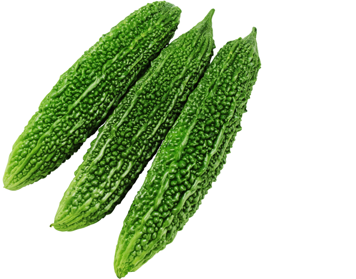 緑福 ニガウリ 果菜類 品種詳細 大和農園 緑福 ニガウリ 果菜類 品種詳細 大和農園