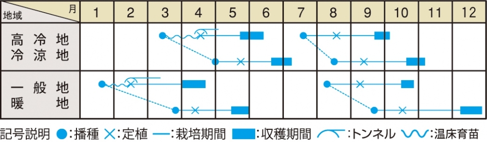 栽培適期表