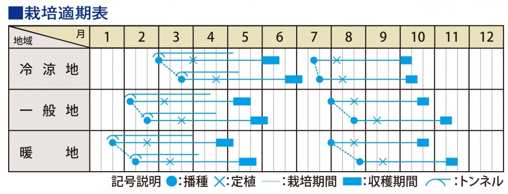 栽培適期表